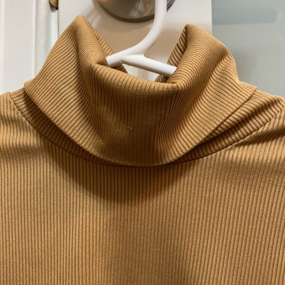 Beige/Brown Cropped Mock Neck Long Sleeve - Picture 3 of 4